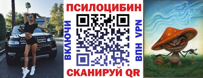 Псилоцибиновые грибы мицелий  наркотики  Ильский 