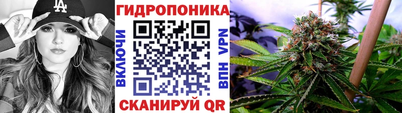 купить наркотики цена  Ильский  Конопля MAZAR 